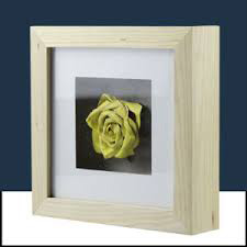 White Limed Shadow Box Frame with Mounted Flower